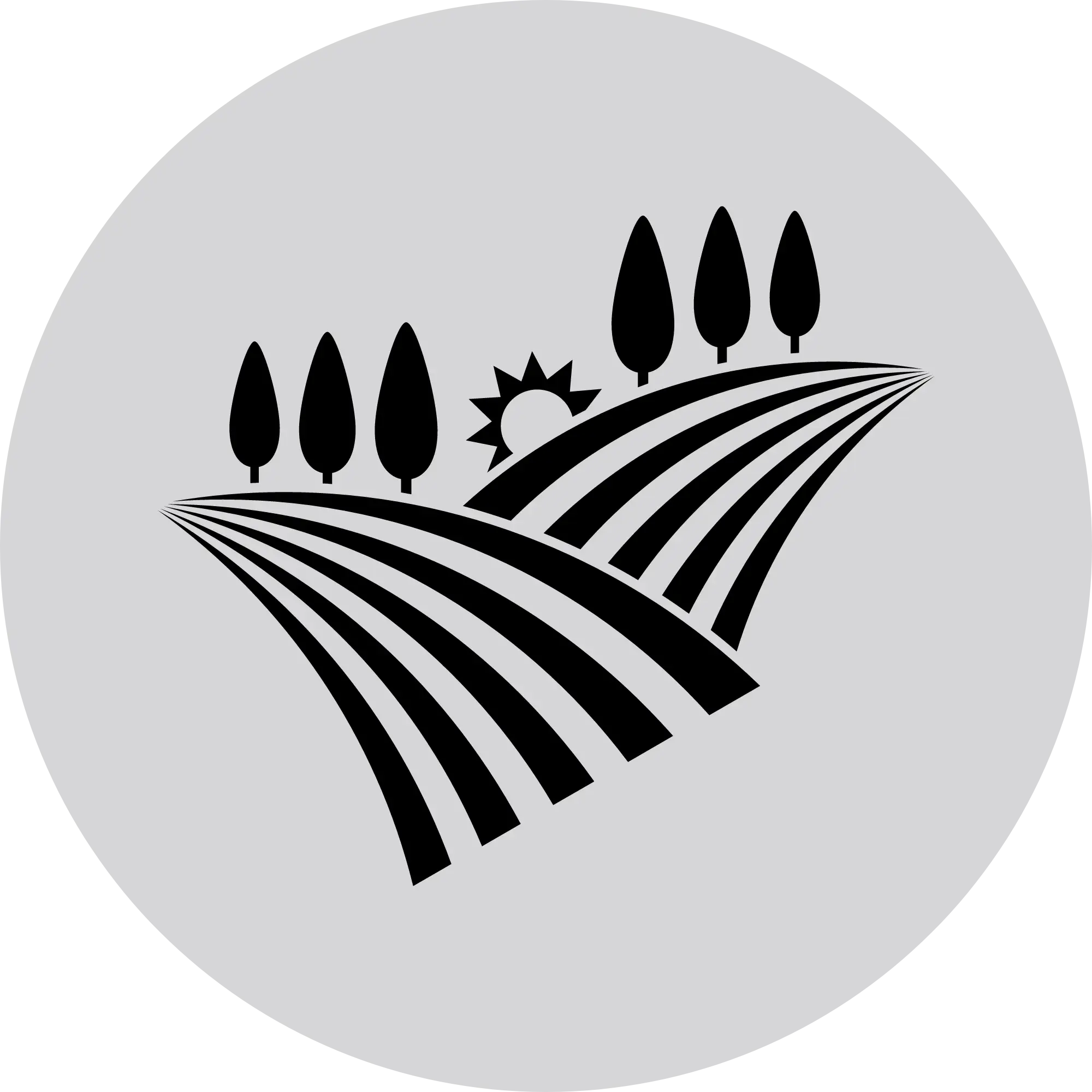 Photovoltaik