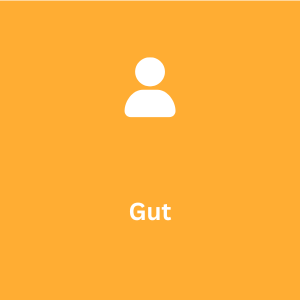Gut
